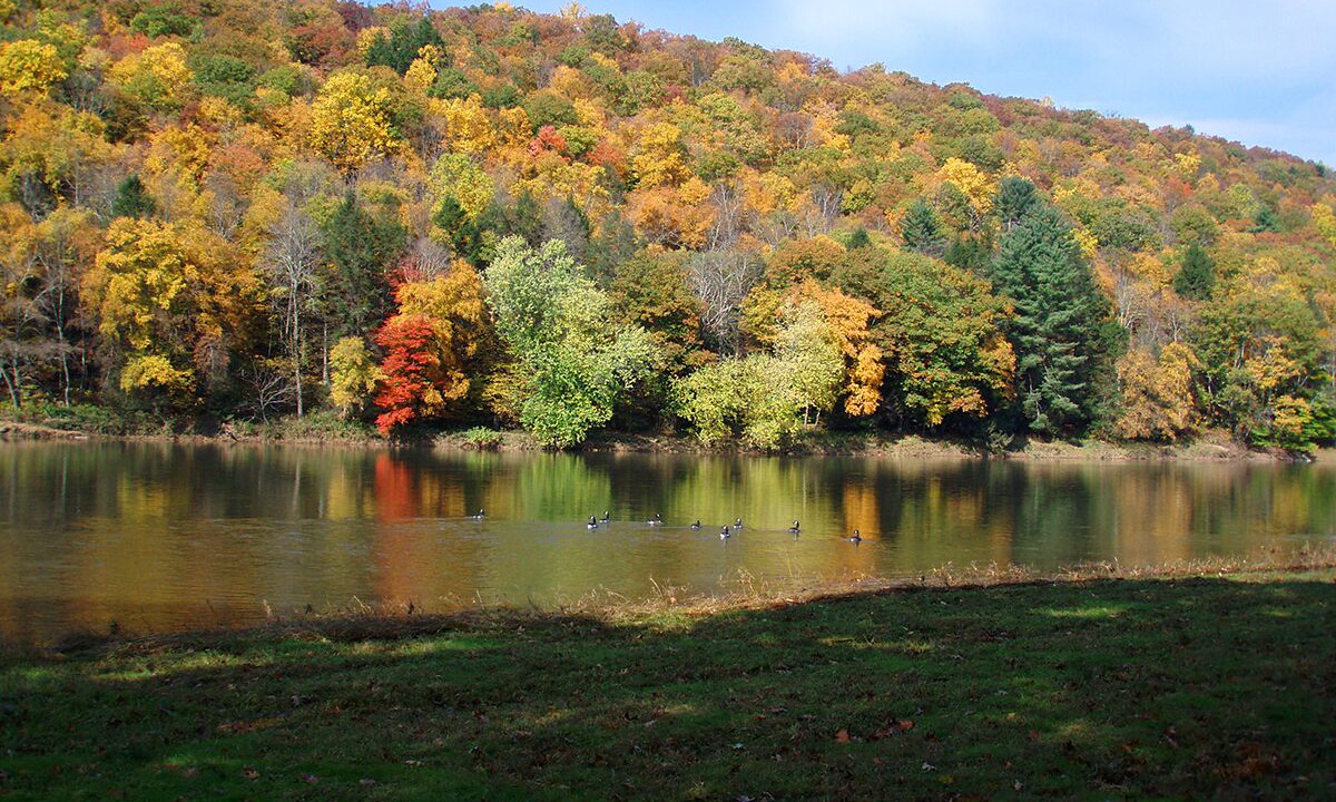 Photo of Others in Callicoon