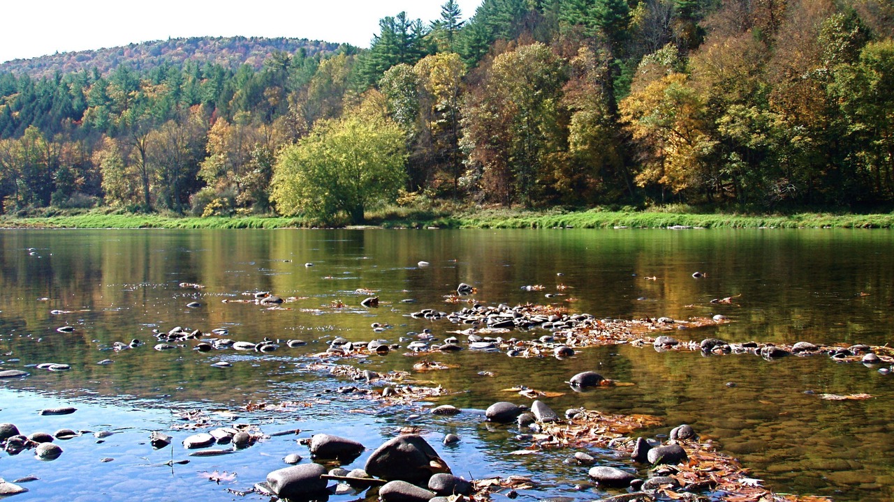 Photo of Others in Callicoon