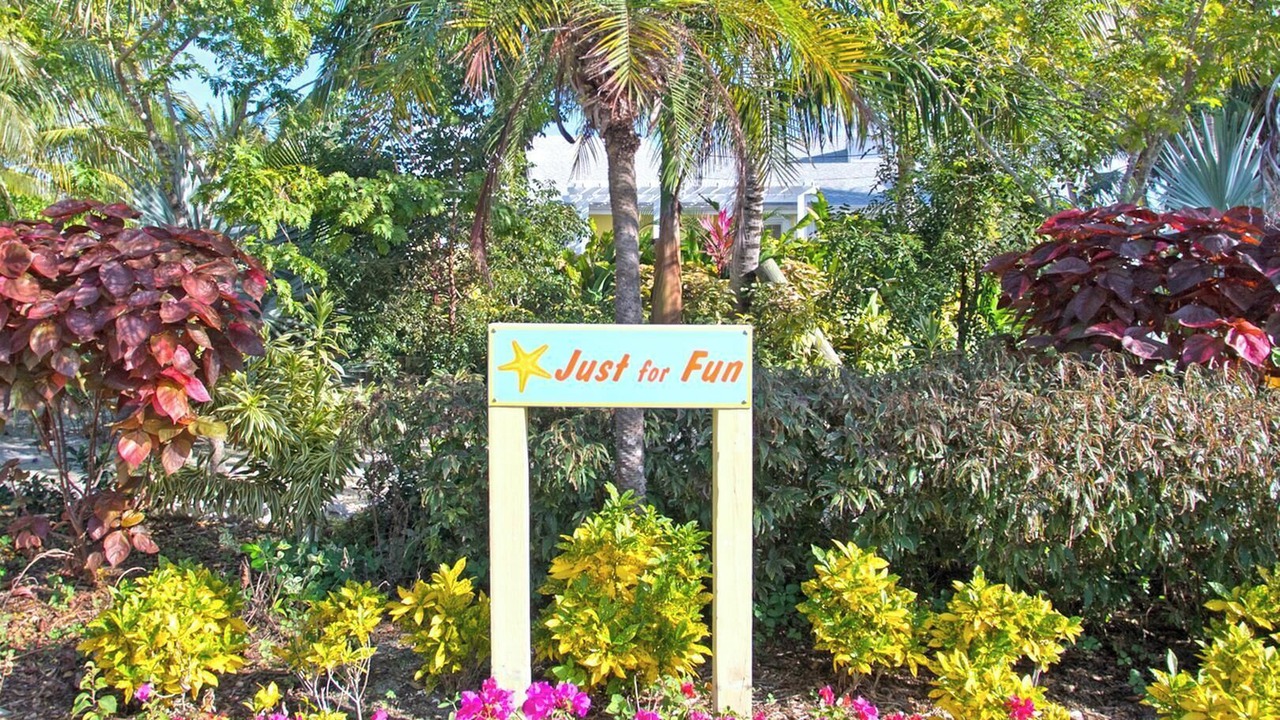 Photo of Others in Rum Point