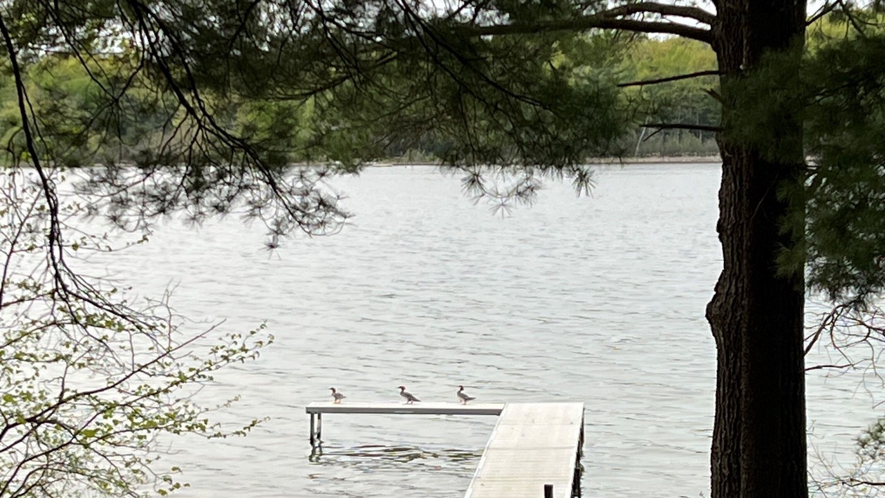Photo of Others in Interlochen