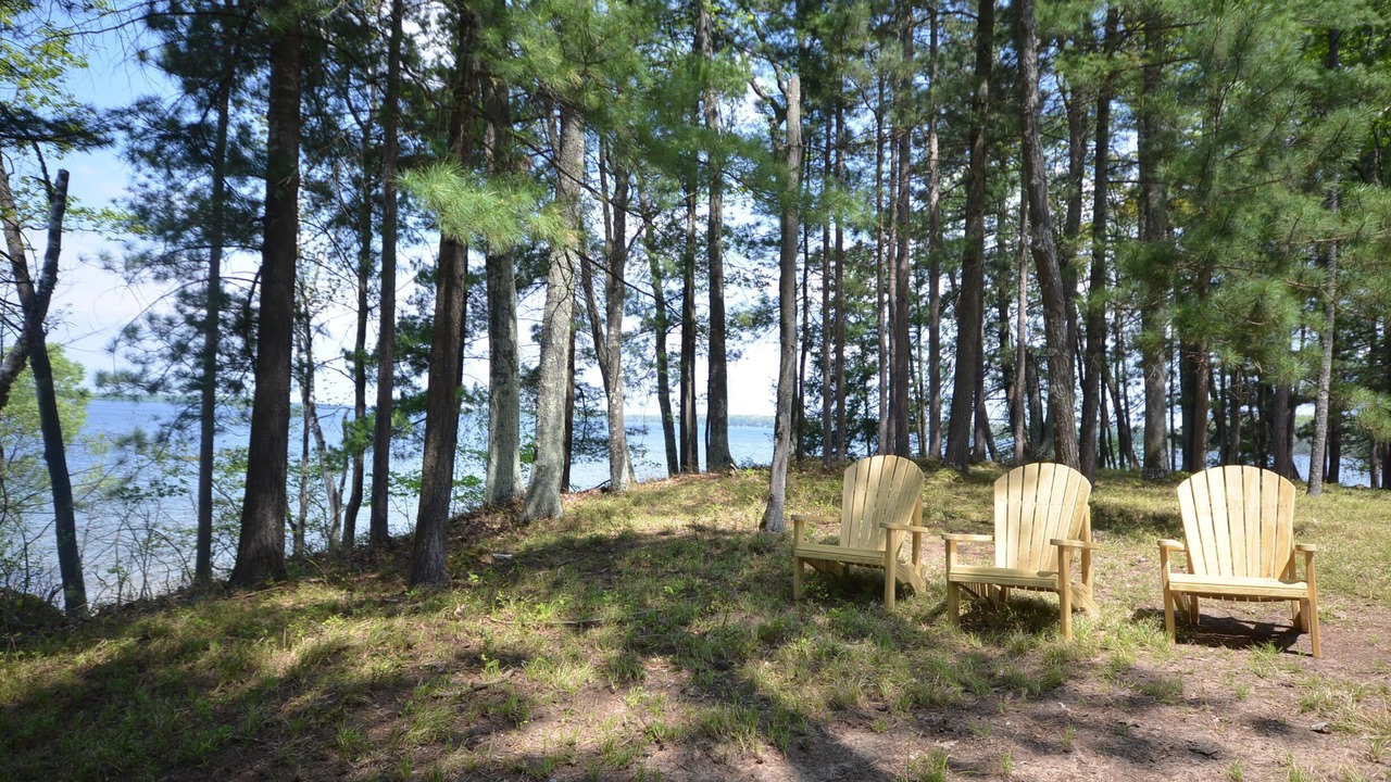 Photo of Outdoor in Interlochen