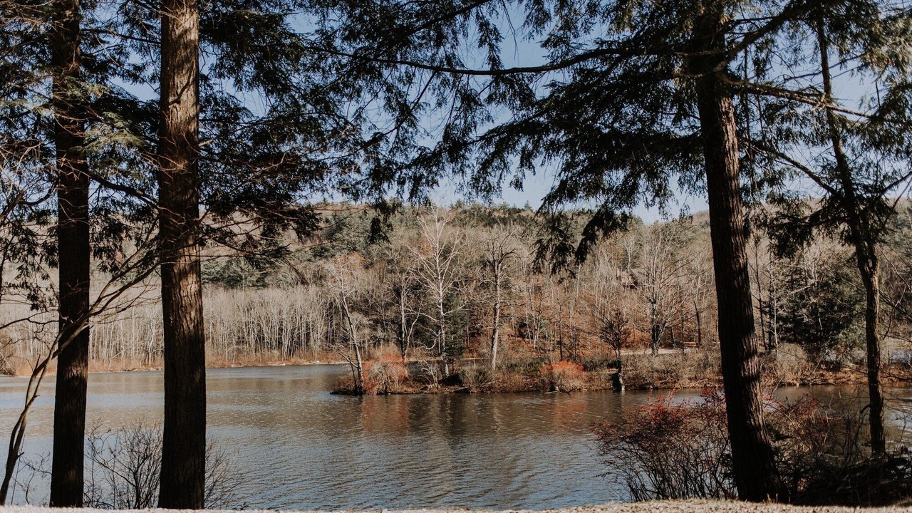 Photo of Outdoor in Mount Holly