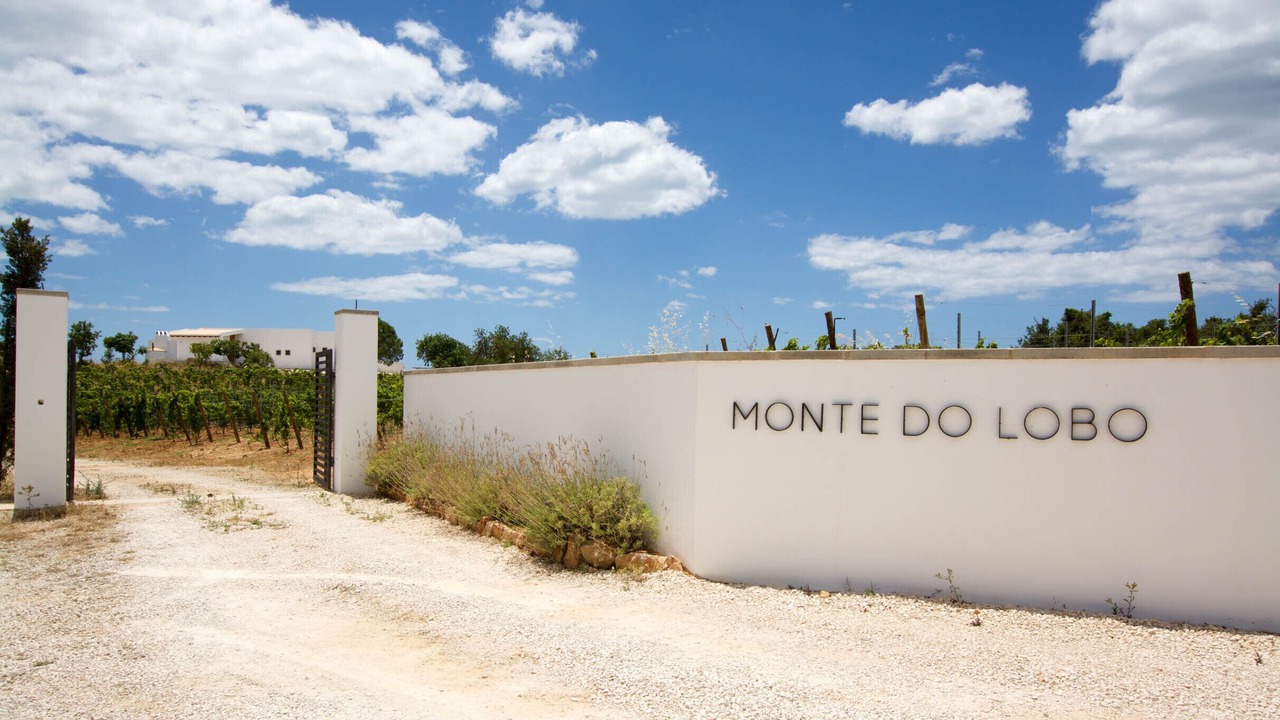 Photo of Outdoor in Mato Serrao