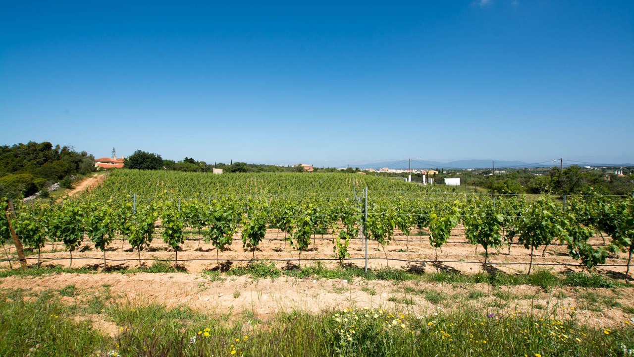 Photo of Outdoor in Mato Serrao