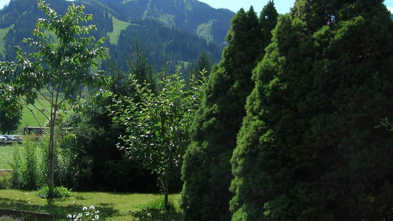 Photo of Outdoor in Tannheim