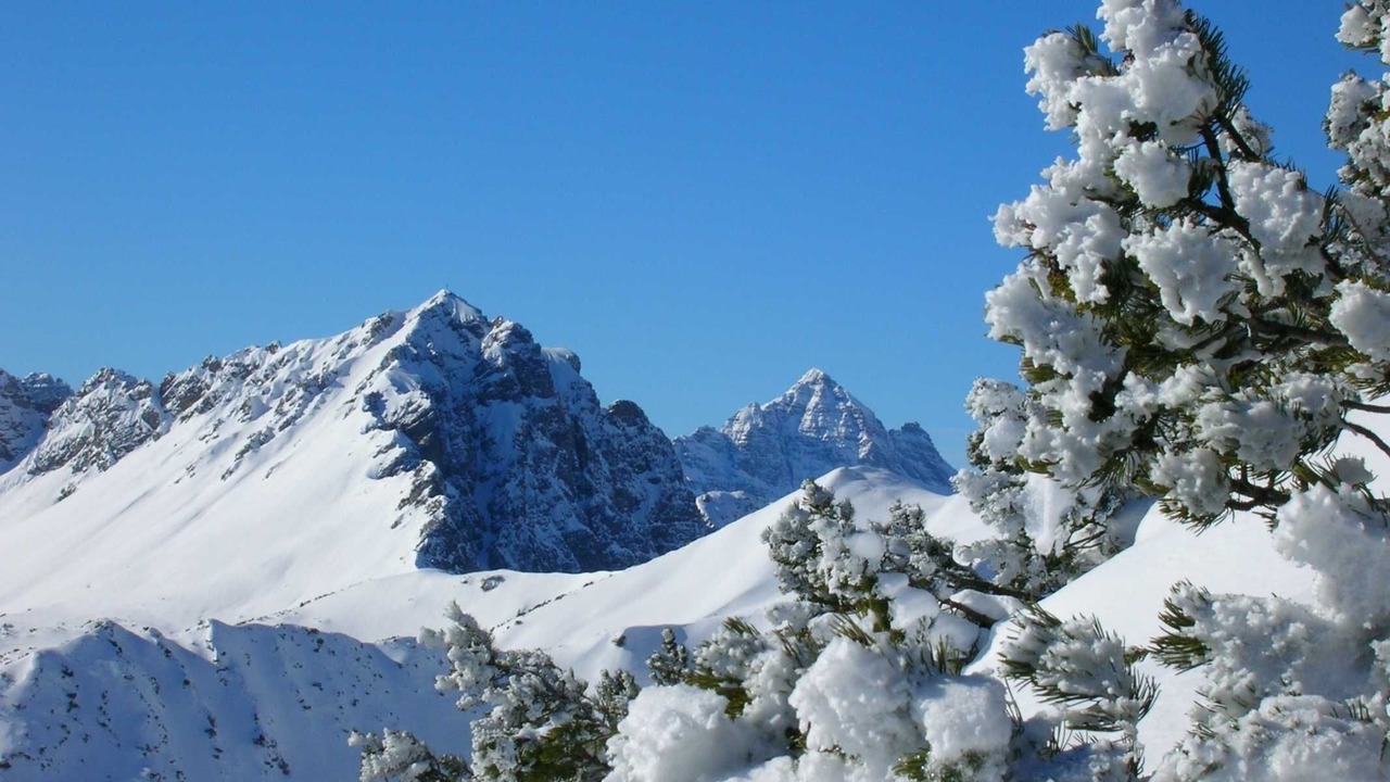 Photo of Others in Tannheim