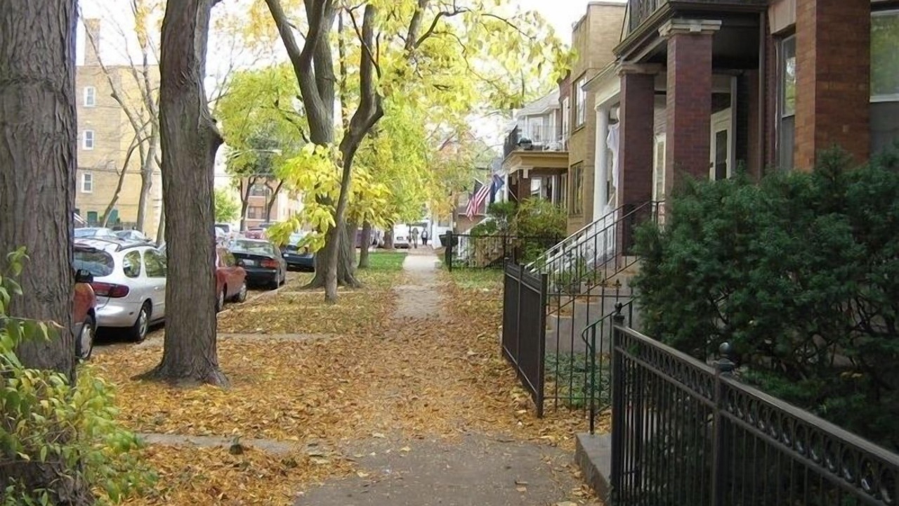 Photo of Others in Ravenswood