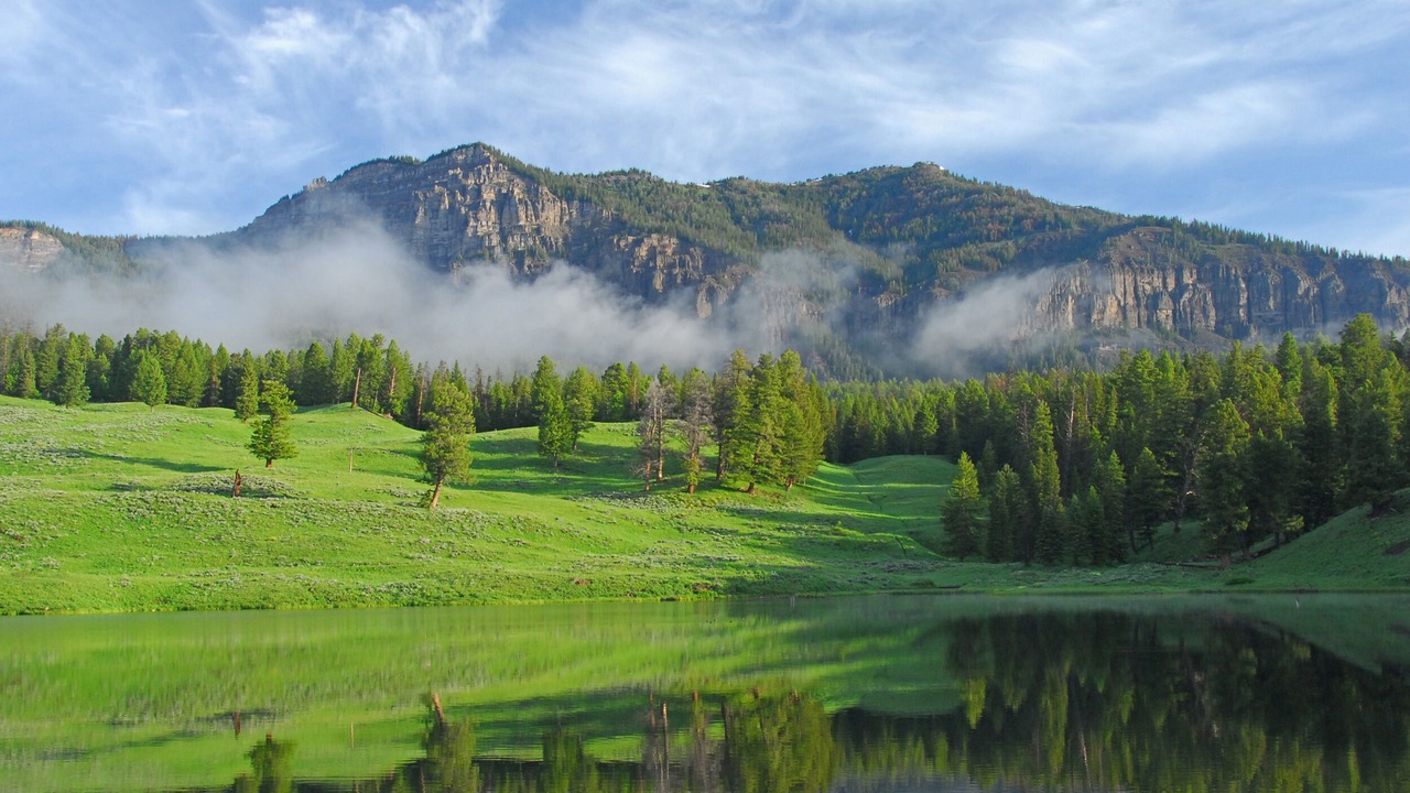 Photo of Outdoor in Cody