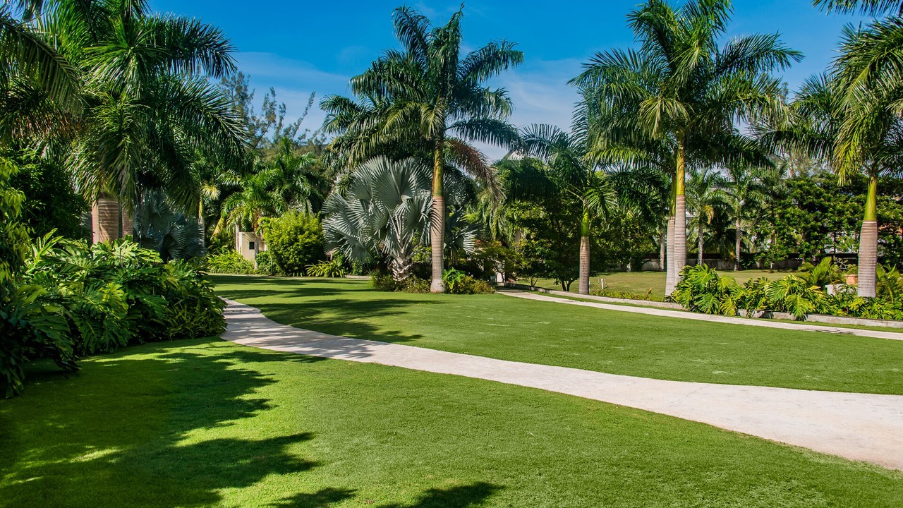 Photo of Outdoor in Montego Bay