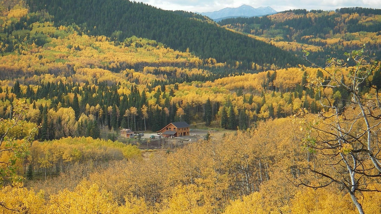 Photo of Others in Bragg Creek