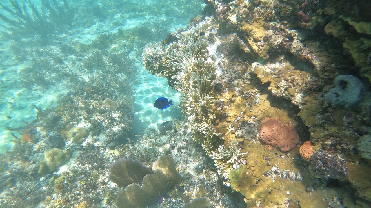 Photo of Others in Governor's Harbour