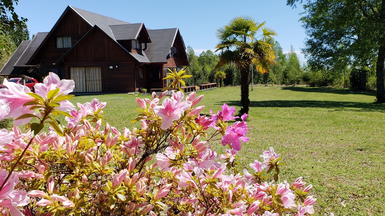 Photo of Outdoor in Molco