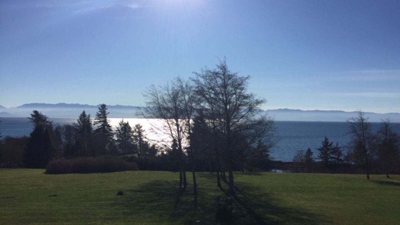 Photo of Others in Otter Point