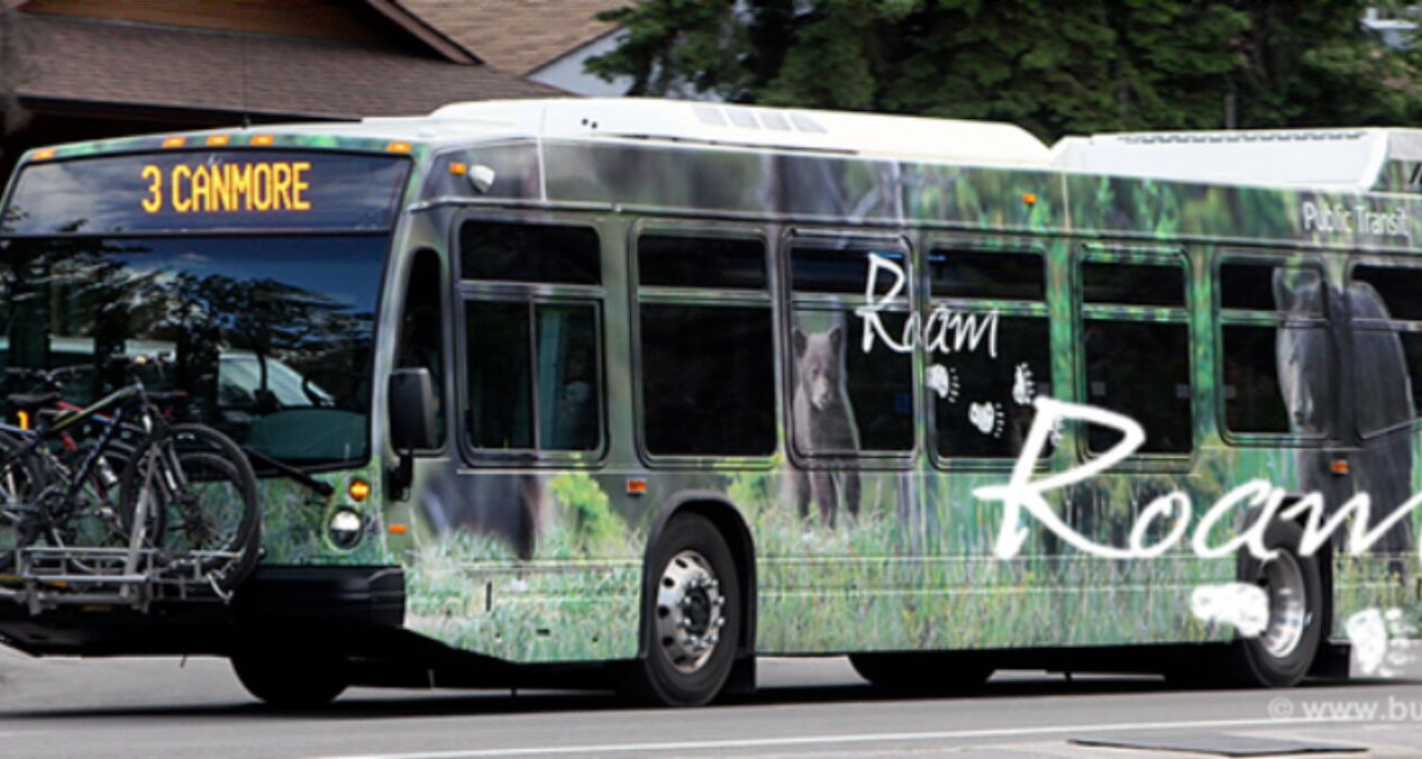 Photo of Others in Canmore