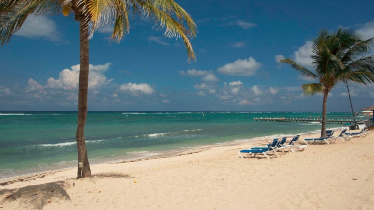 Photo of Others in Colliers Bay