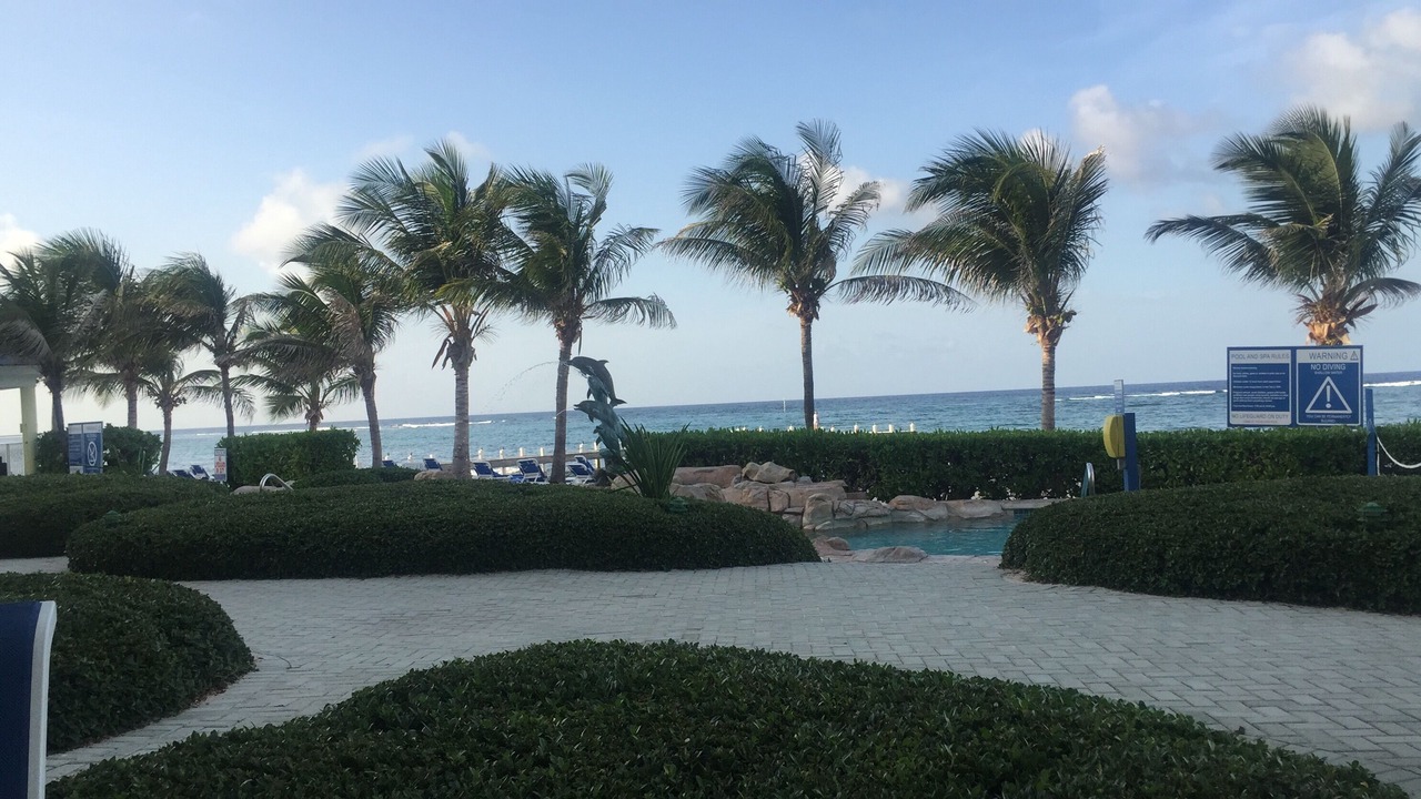 Photo of Outdoor in Colliers Bay
