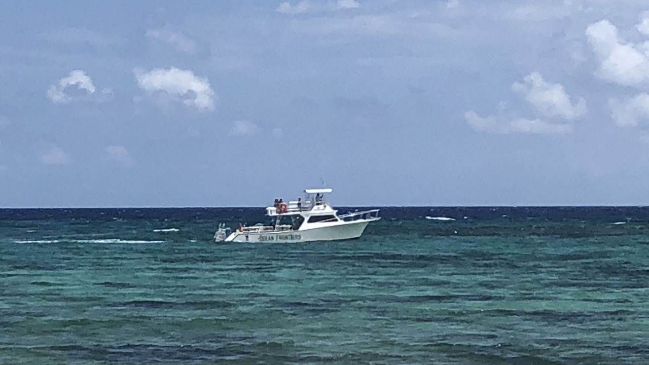 Photo of Others in Colliers Bay
