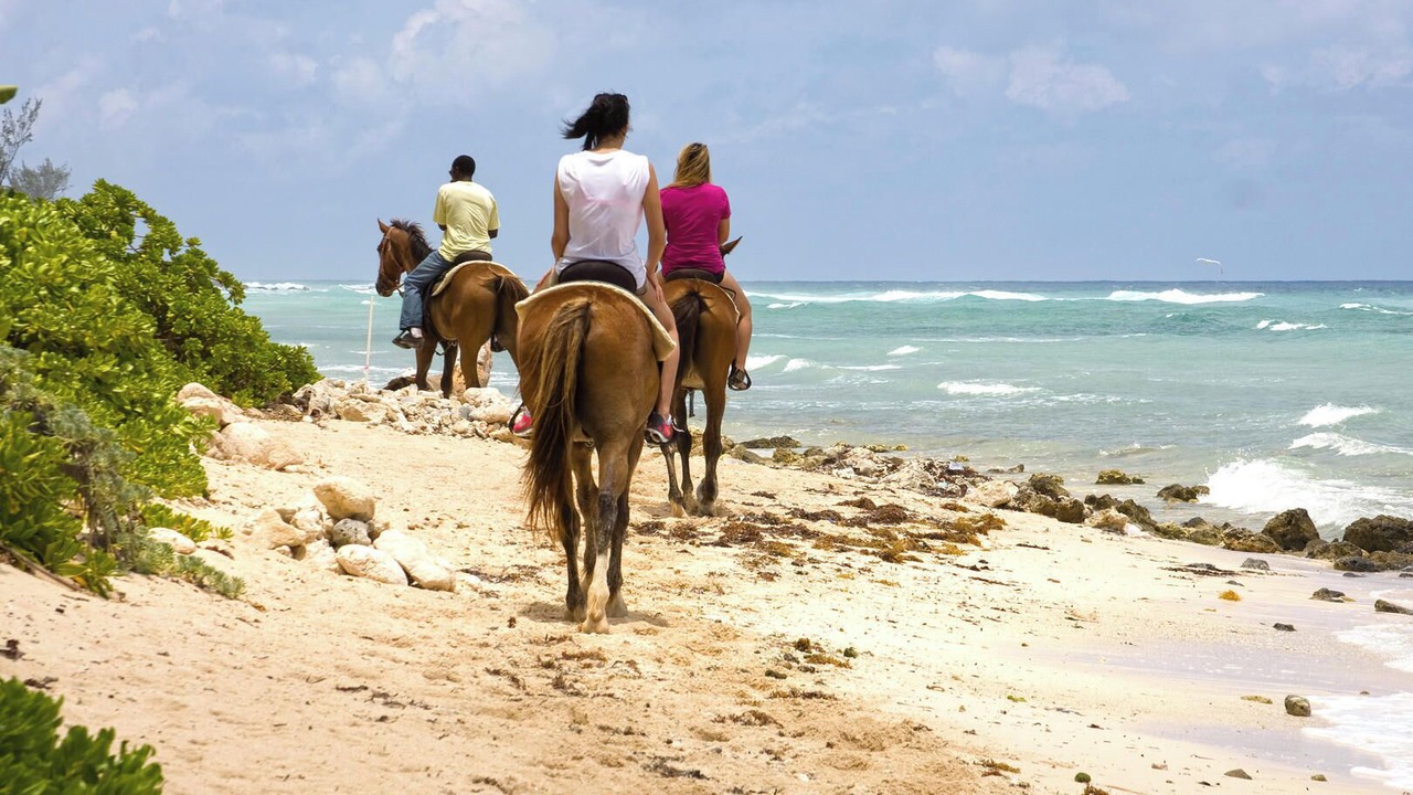 Photo of Others in West Bay