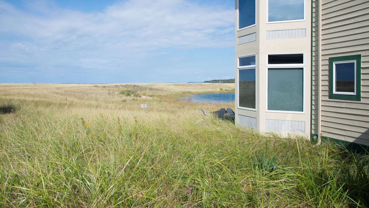 Photo of Outdoor in Manistee
