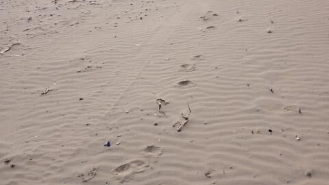Photo of Others in Crystal Beach