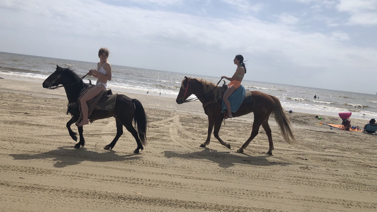 Photo of Others in Crystal Beach