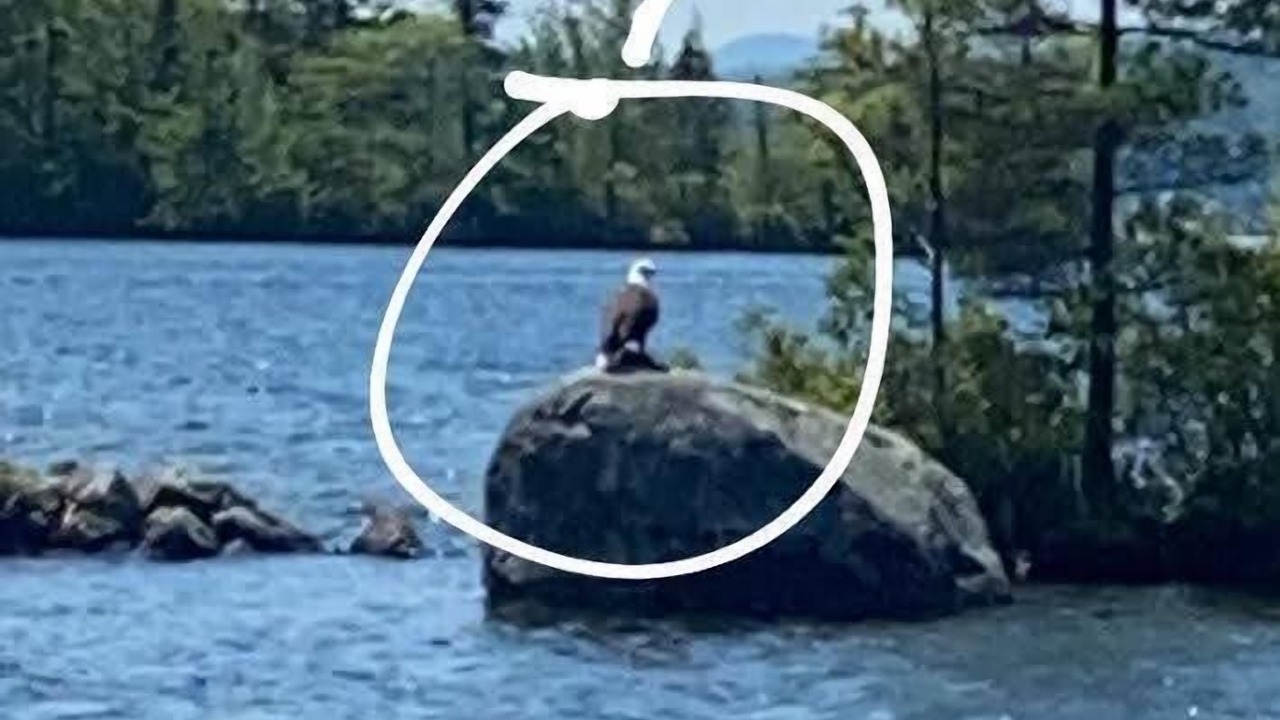 Photo of Others in Moultonborough