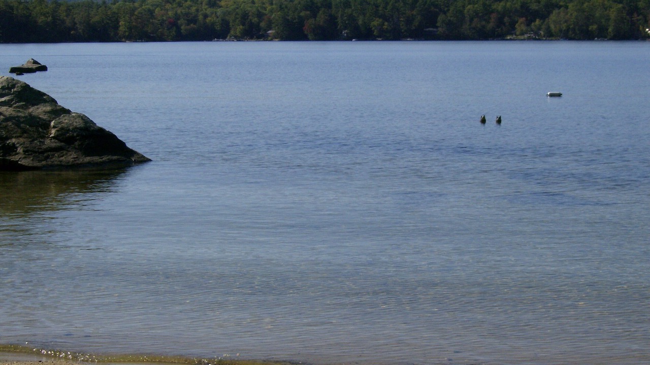 Photo of Others in Moultonborough