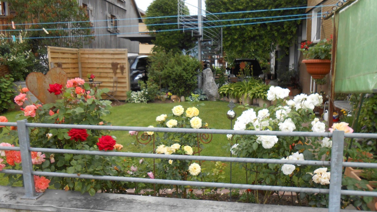 Photo of Outdoor in Bizau