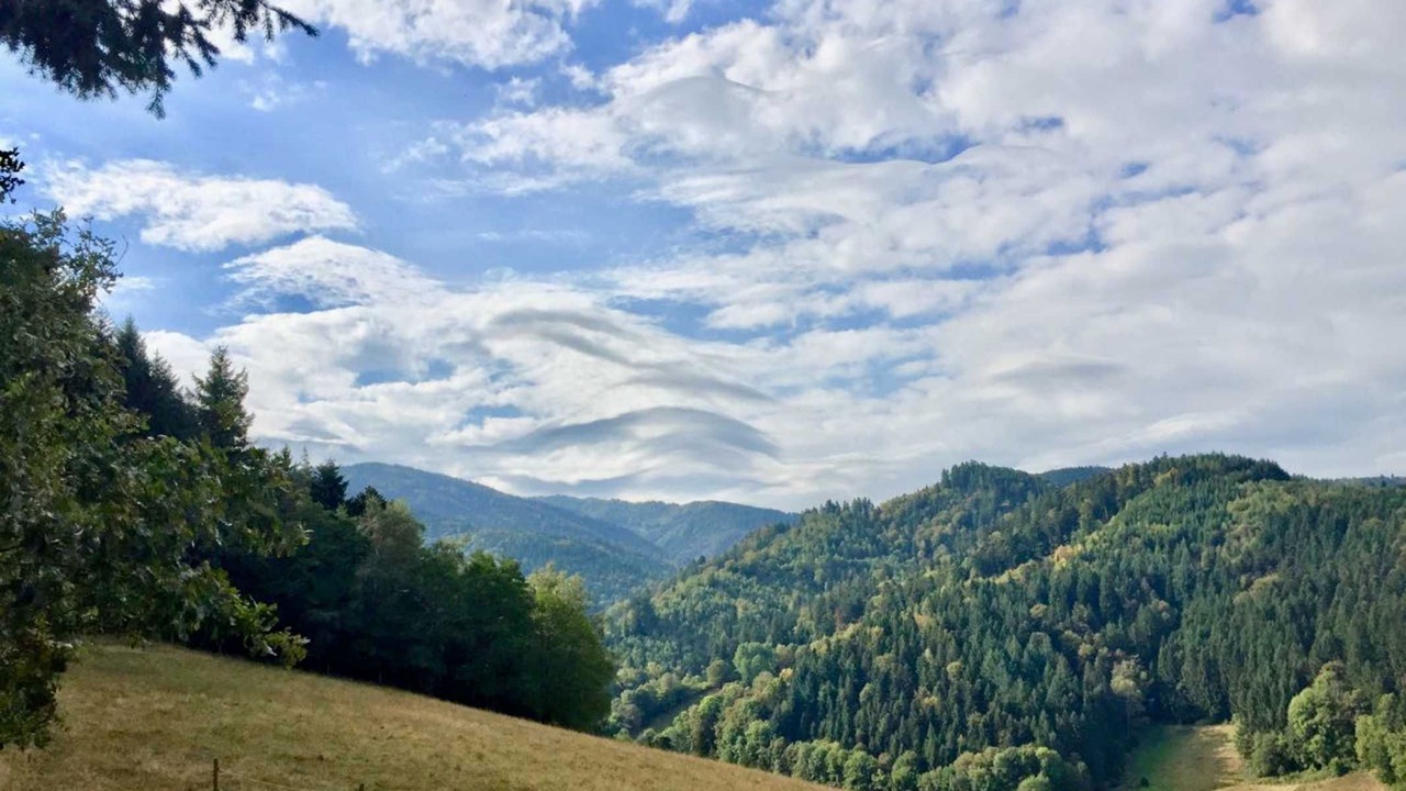 Photo of Others in Kappel