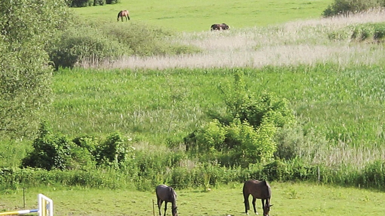 Photo of Outdoor in Uckerland