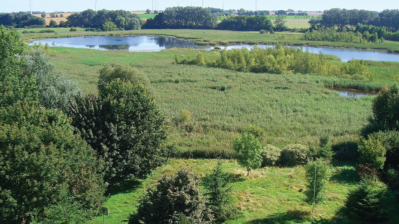 Photo of Outdoor in Uckerland