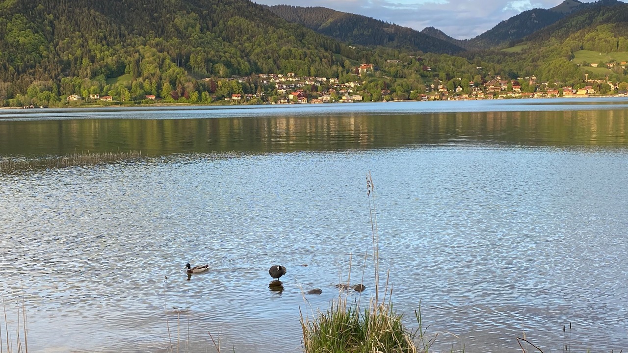 Photo of Others in Bad Wiessee