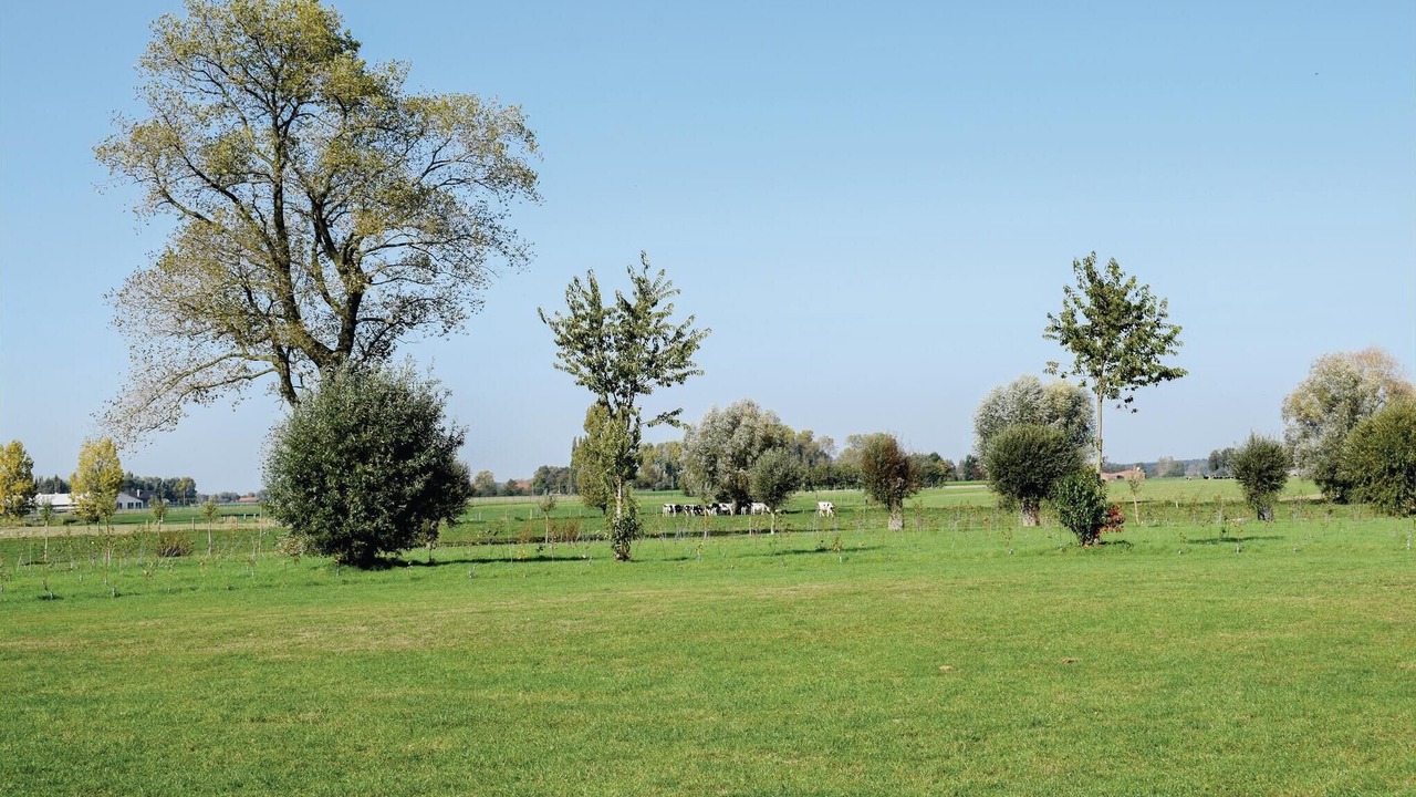 Photo of Others in Ruiselede