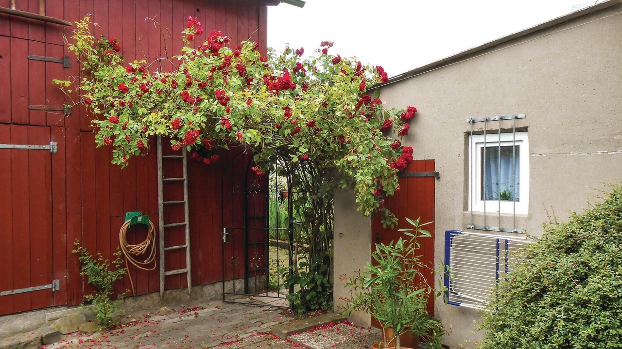 Photo of Outdoor in Fluggendorf