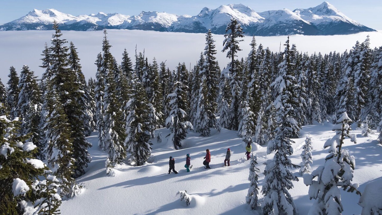 Photo of Others in Blackcomb