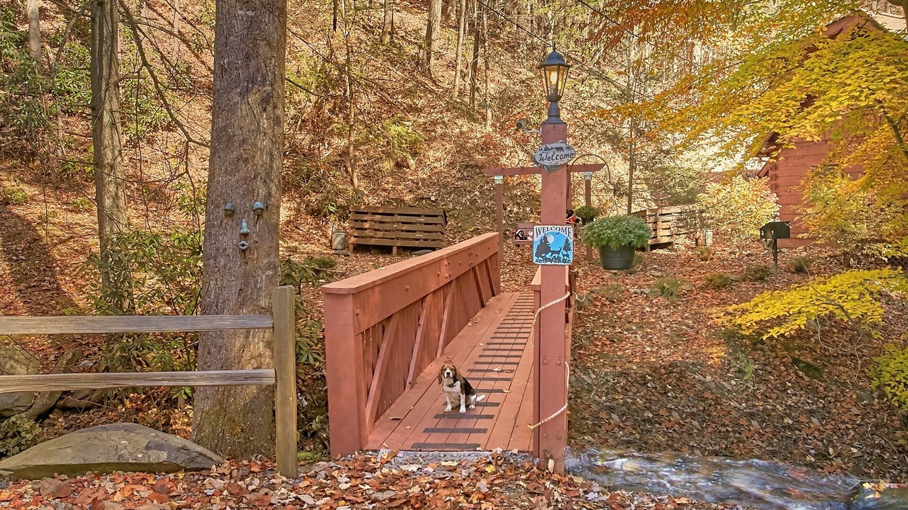 Photo of Outdoor in Chalet Village
