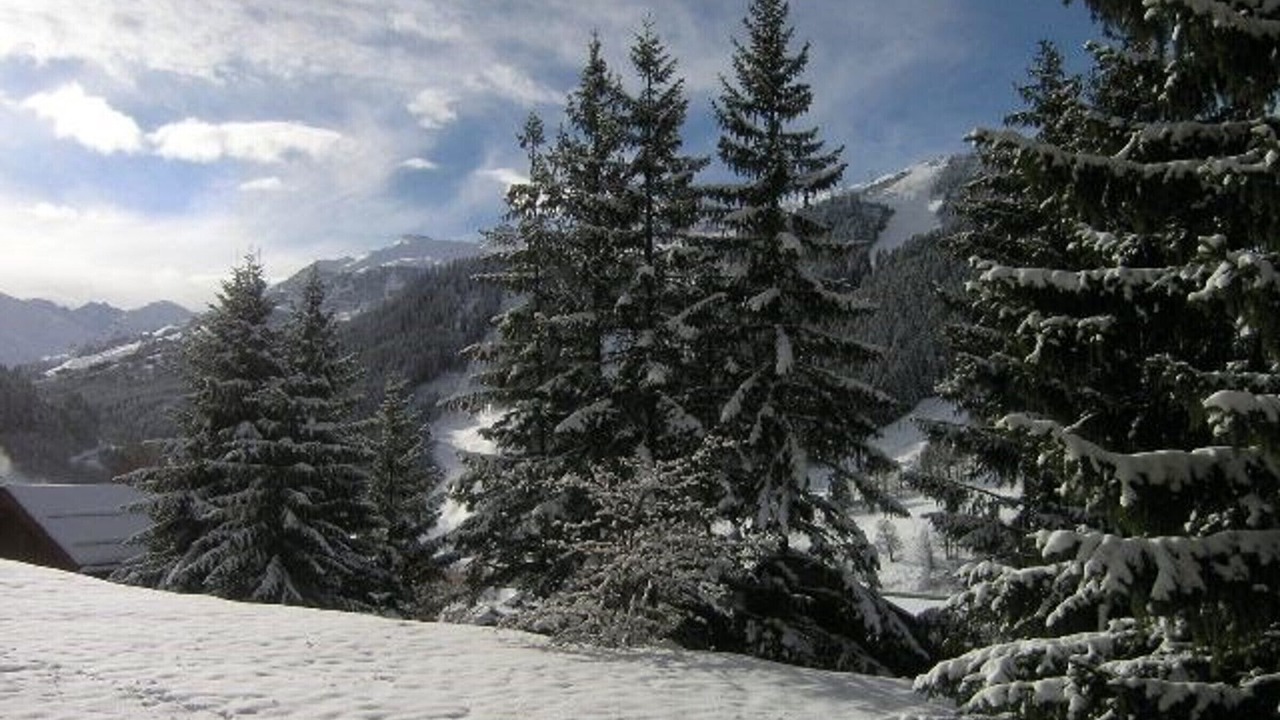Photo of Others in Meribel Centre