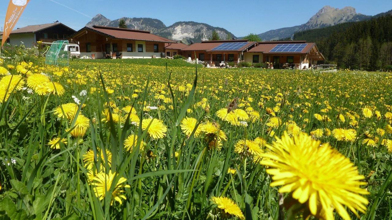 Photo of Outdoor in Haldensee