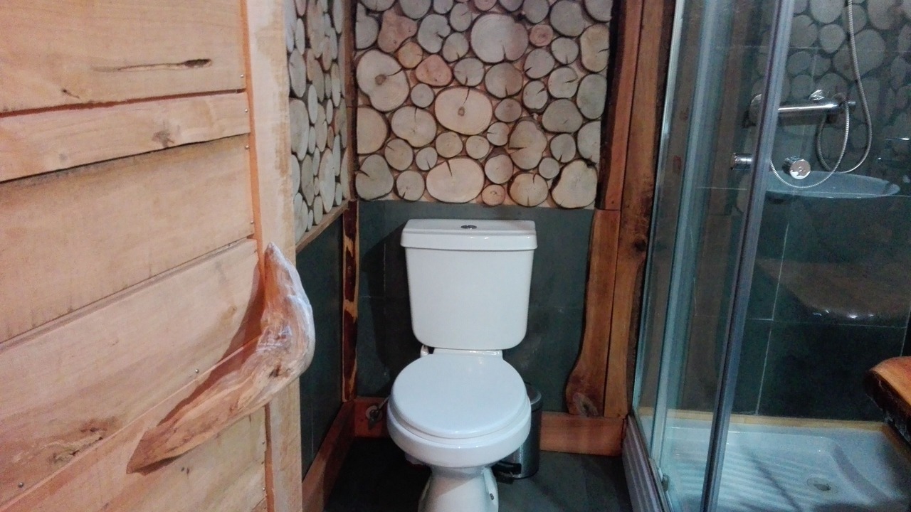 Photo of Bathroom in Pucon