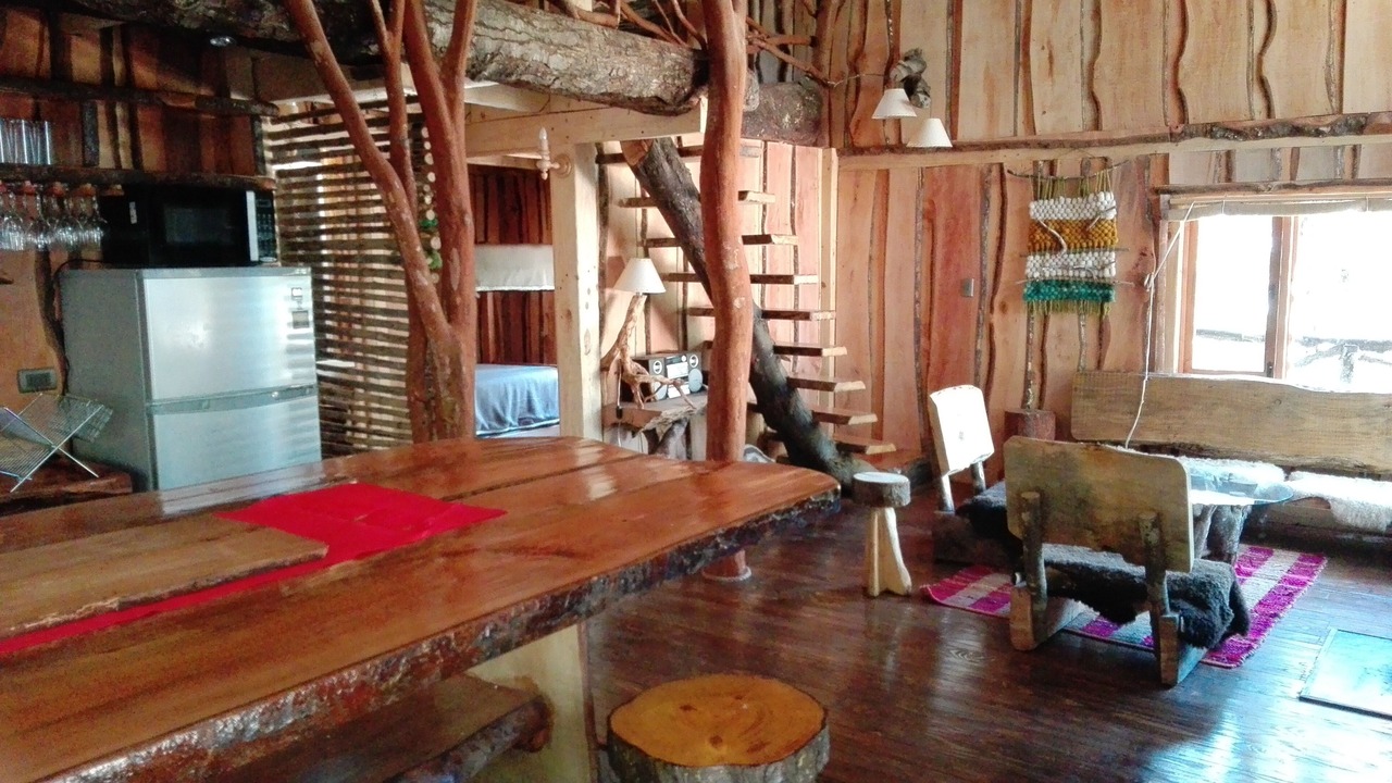 Photo of Others in Pucon
