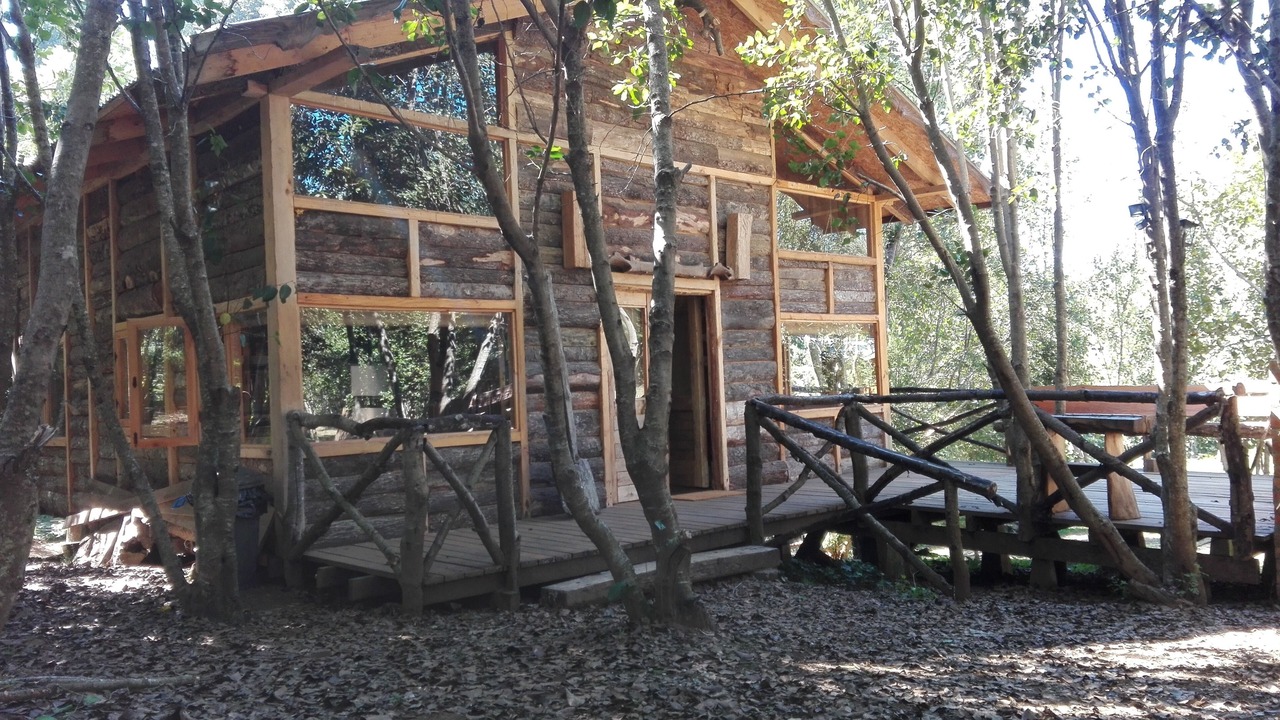 Photo of Outdoor in Pucon