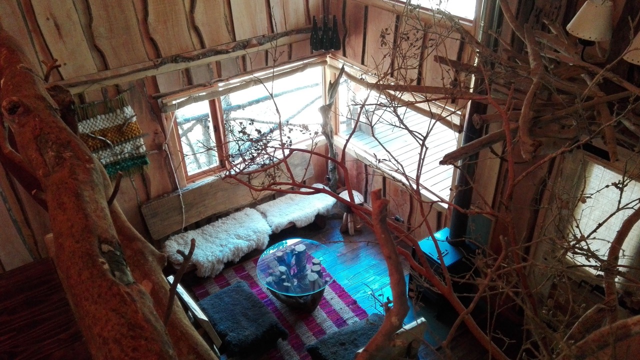 Photo of Others in Pucon