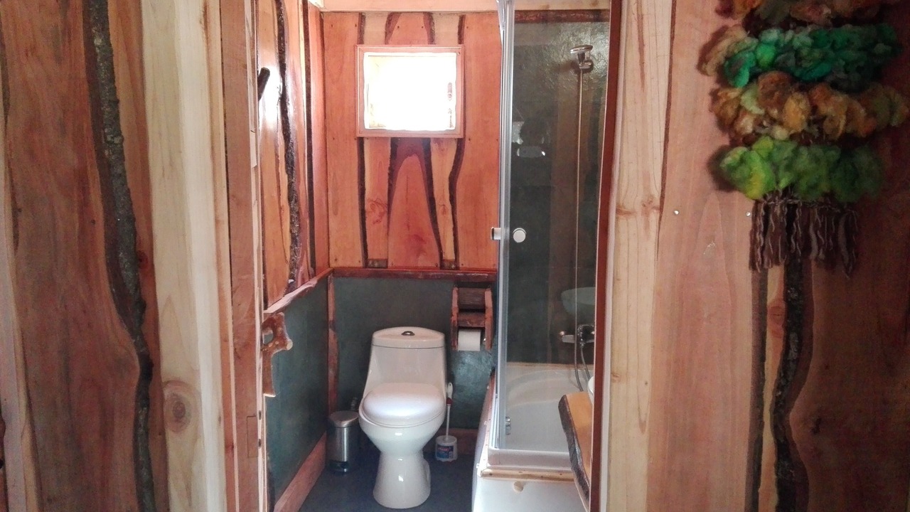 Photo of Bathroom in Pucon