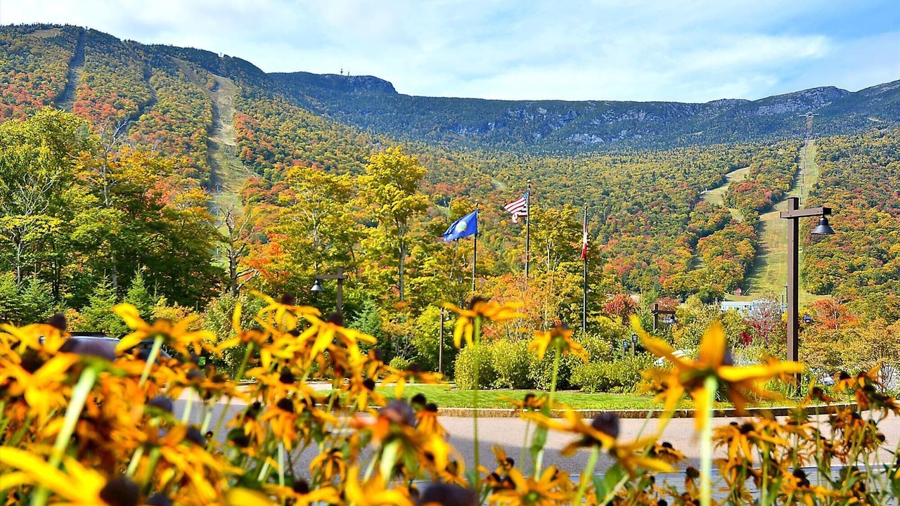 Photo of Outdoor in Stowe Area