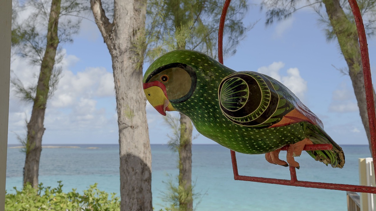 Photo of Others in Paradise Island