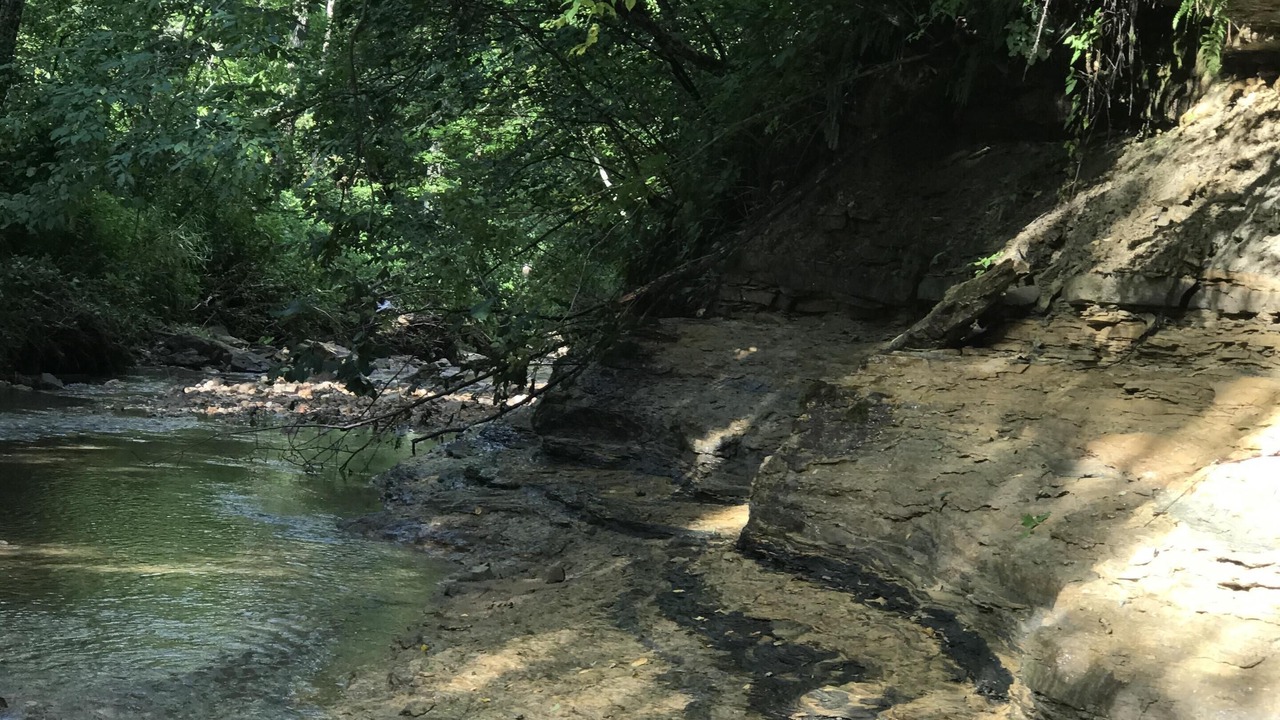 Photo of Outdoor in Viroqua