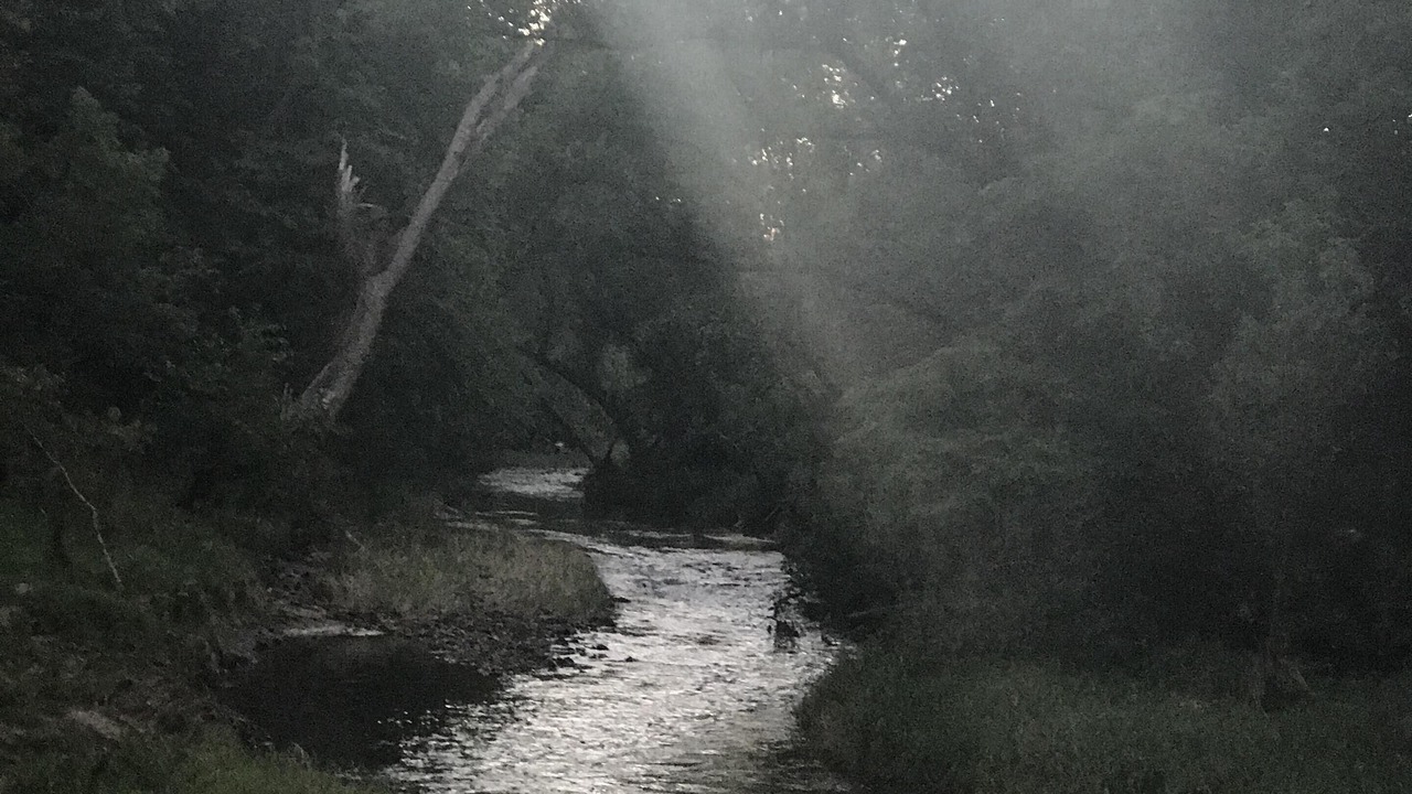 Photo of Others in Viroqua