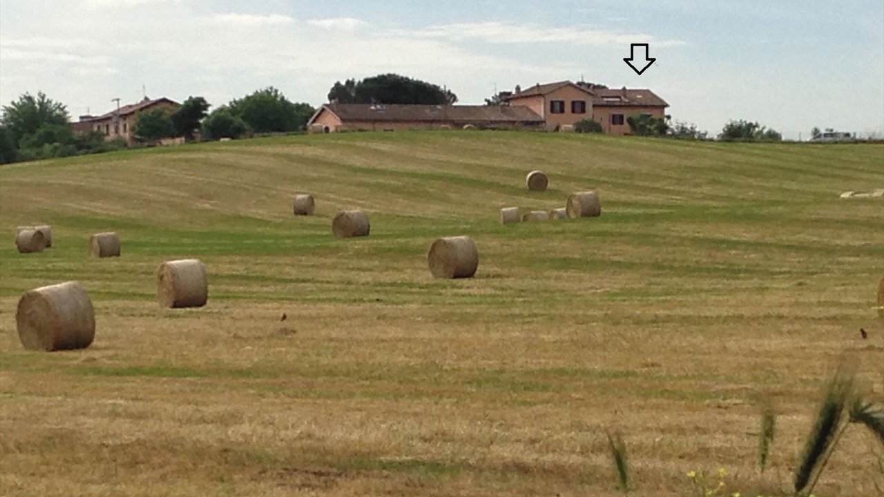 Photo of Others in La Torretta