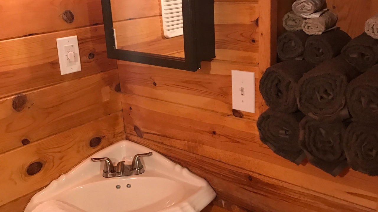 Photo of Bathroom in Wellston
