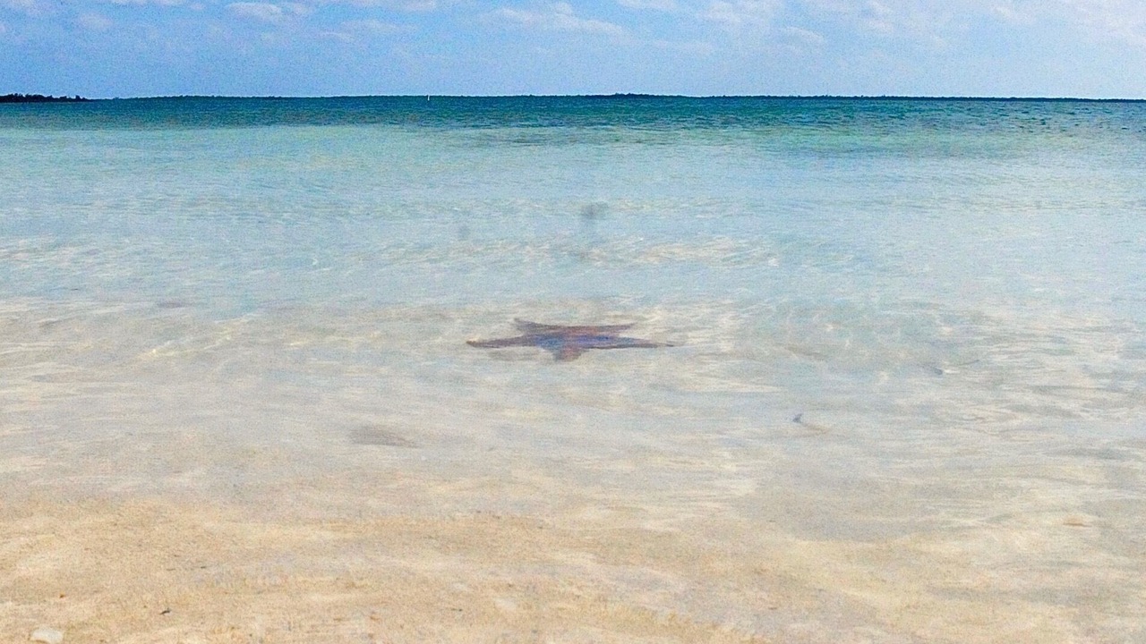 Photo of Others in Rum Point